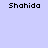 Pixelated text "Shahida" repeated across a light purple background with white rectangular shapes.