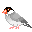 Pixelated bird with gray body, white chest, black head cap, orange beak, and pink feet in various poses on solid gray background.
