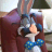 Animated contact sheet showing five sequential frames of a cartoon rabbit character in a suit with a bow tie, seated on a brown chair against a blurred background.