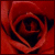 A pixelated red rose with layered petals and dark center, rendered in low-resolution style with visible dithering and color banding.