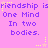 A static image with a pink background displays repeated text "friendship is One Mind In two bodies." in purple pixelated font, accompanied by yellow star and dot decorations.