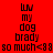 Pixelated text reads 'luv my dog brady so much<88' across four with red, pink, white, and pink backgrounds