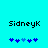 Pixelated text 'SidneyK' above blue puzzle pieces on cyan background, with one puzzle piece changing color between frames.