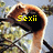 A hand holds a black object against a blurred background of trees and sky, with yellow text reading 'Sexii' in the top-left frame.