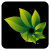 A pixelated green leaf icon with gradient shading on a black background, framed by a gray border.