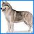 Static pixelated image of a dog standing in profile, facing left, with light brown and dark gray fur against a white background bordered by blue.