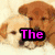 Four puppy images arranged in a with pink text overlays reading The, Doggie, and Club