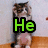 A cat stands on its hind legs against a light wall and wooden floor, with green text changing across frames to form a phrase.