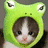 A cat wearing a green frog hat with large eyes, set against a bright green background with pixelated text reading 'Stop Staring at me!!!'