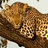 Pixelated image divided into four quadrants with a brown animal, text phrases, and solid color backgrounds.