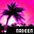 Pixelated palm tree silhouette against pink and purple gradient sky with white light burst, black base, 'NADEEN' text below.