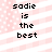 Pixelated text 'sadie is the best' on a pink and white striped background with small dots.
