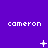 Purple background with repeated 'cameron' text and changing white pixel symbols across three