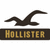 Pixelated icon shows a dark brown bird silhouette in flight above the word 'Hollister' in golden-yellow block letters on a black banner against white background.