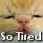A cat's face with closed eyes and a pink nose, overlaid with 'So Tired' text in white block letters on the left side.