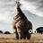 A giraffe stands in a grassy field under cloudy skies, with text appearing sequentially