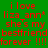 Green background with red text repeating 'i love liza ann* she's my bestfriend forever !!!!' in a pattern, some words highlighted on white rectangular backgrounds