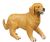 Pixelated static image of a light brown dog standing in profile facing right with tail curled upward.