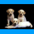 Static image of three dogs on a blue background with text "I Love Puppies!" below.