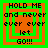 Four identical pixel-art display "HOLD ME and never ever ever let GO!!!" text with alternating green and orange square borders on a green background