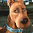 A 48x48 pixel buddy icon featuring a close-up of Scooby-Doo's face on the left and promotional text for 'Scooby Doo 2' on the right, with blue background and pixelated rendering.