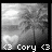 Black-and-white pixelated animation of a palm tree with a heart-shaped cloud, displaying 'Cory' text flanked by heart symbols.