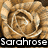 Four distinct square display a rose, text, and musical symbols on solid backgrounds