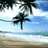 Pixelated beach scene with palm trees and ocean on left; red background with yellow pixelated text on right.