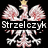 Pixelated icon featuring a crowned eagle with outstretched wings above stylized text on black background.