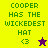 Green pixelated text reads "COOPER HAS THE WICKEDEST HAT" on yellow and purple backgrounds with heart and star symbols.
