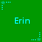 Green background with repeating light blue text 'Erin' and animated star-shaped icons that change position across frames.