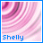 Four identical display a pink and white striped background with blue text reading "Shelly" at the bottom left of each