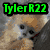 Pixelated image with four quadrants: top-left dog, top-right Yoshi, bottom-left monkey, bottom-right empty space, text overlays.