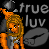 Doll Buddie Icons
