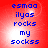 Red background with blue pixelated text reading 'esmaa ilyas rocks my sockss' in four identical quadrants, each containing the same text layout.