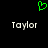 Green pixelated heart symbol above two white 'Taylor' text instances on black background.