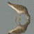 A pixelated bird with brown and white plumage, long orange legs, and a curved beak stands against a solid gray background.