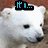 Six show a white polar bear's head with varying text overlays in blue pixelated font against a brown background