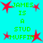 Green text on cyan background reads 'JAMES IS A STUD MUFFIN' with red star shapes scattered around, arranged in a pattern