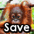 A four- shows an orangutan in various poses with overlaid text reading Save, The, and Orangutans