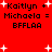 Red background with black text reading "Kaitlyn + Michaela = BFFLAA" and white star shapes, showing two animation states with text and star positions differing slightly.
