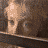 Animated contact sheet showing three frames of a woman's face transitioning from profile to front view with text elements below, all in low-resolution pixel art style.