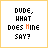 nine pixelated text with yellow borders, displaying variations of 'DUDE, WHAT DOES MINE SAY?' and 'SHEET! WHAT ABOUT MINE?', some with orange highlighted letters