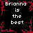 Black background with red pixelated border and repeated white text 'Brianna is the best' in four quadrants.