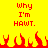 Yellow background with red pixelated text reading "why I'm HAWT." repeated twice, and a of red flame shapes at the bottom