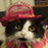 A pixelated cat wearing a red hat and scarf with orange text reading Happy Halloween From Amber and Beardsley!