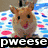 six animal images with overlaid text captions, each depicting a different expression or action