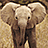 Pixelated elephant head on left, yellow background with blue text 'what??? i can't hear YOU!!!' on right.