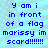 Blue pixelated text on light blue background reads 'y am i in front of a flag marissy im scard!!!!!!' repeated twice.