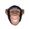 nine monkey head icons in various poses and expressions against a gray background